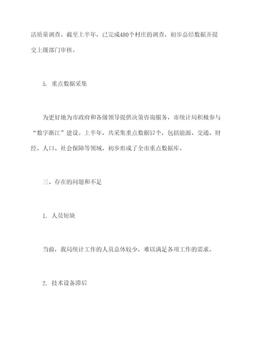 统计局工作上半年总结