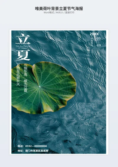 唯美荷叶背景立夏节气海报