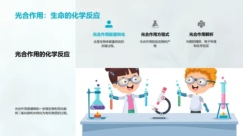 生物教学光合作用解析