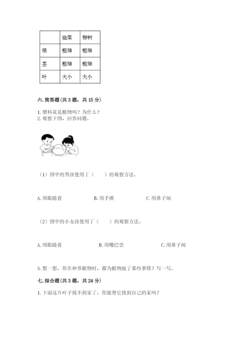 教科版科学一年级上册第一单元《植物》测试卷带答案（模拟题）.docx