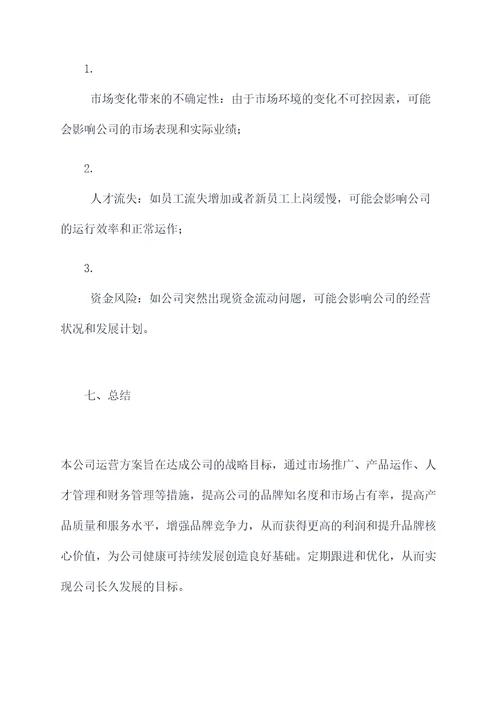 公司运营方案模板模板