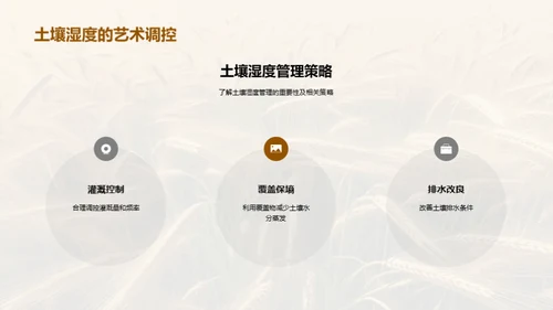 小满季节粮食科学管理