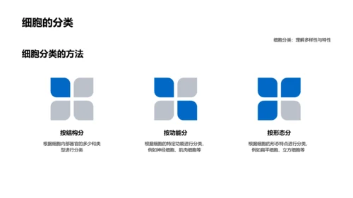 细胞解析PPT模板