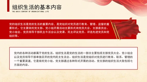 2024党支部标准化规范化党支部组织生活ppt课件