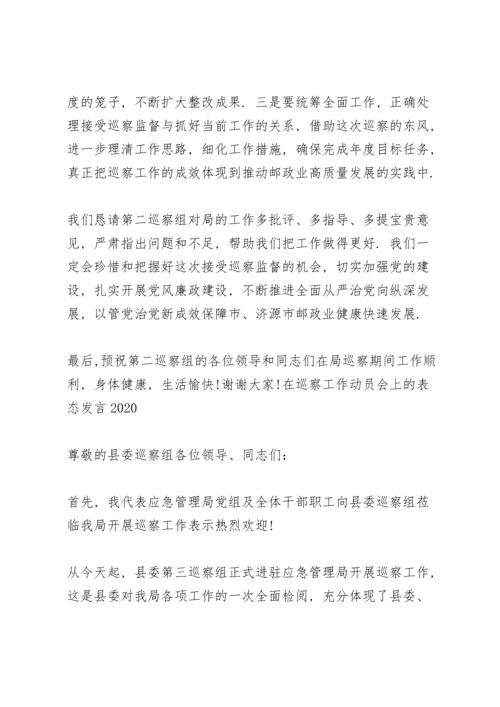 在巡察工作动员会上的表态发言2020.docx