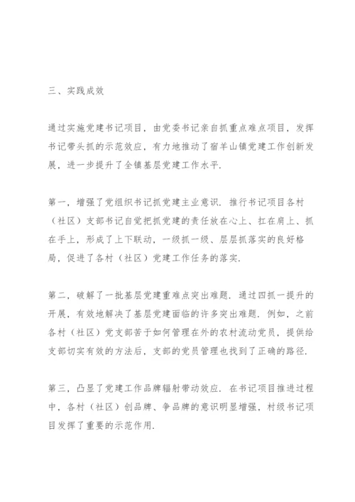 党支部书记抓党建项目立项书.docx