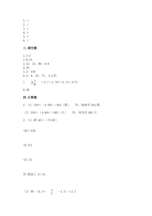 周口市项城市六年级下册数学期末测试卷精选.docx