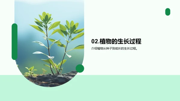 揭秘植物生长奥秘