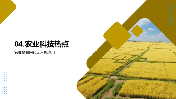 农科创新之光