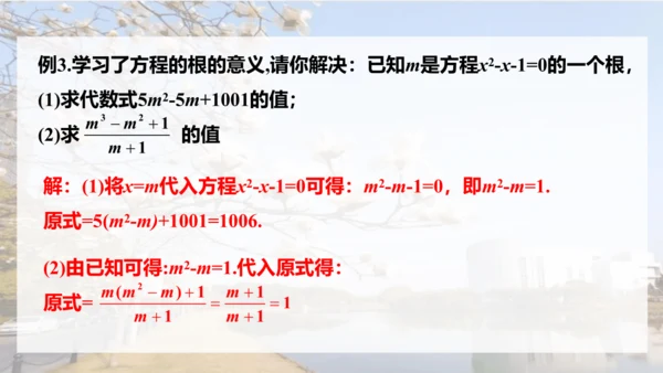 人教版数学九年级上册21.1 一元二次方程课件（共24张PPT）