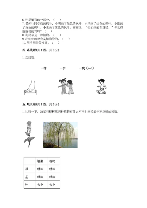 教科版科学一年级上册期末测试卷各版本