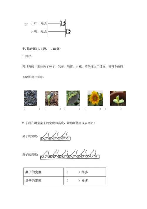 教科版一年级上册科学期末测试卷带答案（培优b卷）.docx