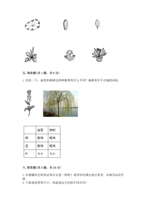 教科版一年级上册科学期末测试卷（综合题）.docx