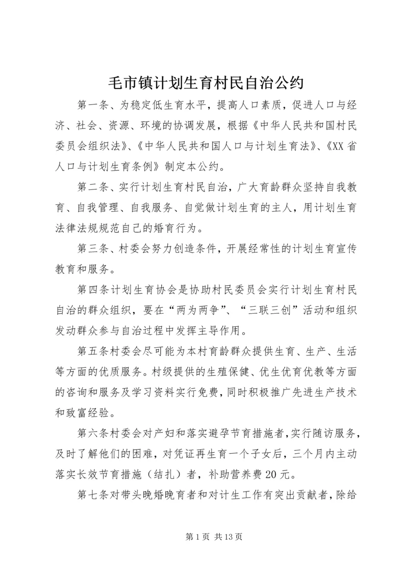 毛市镇计划生育村民自治公约.docx