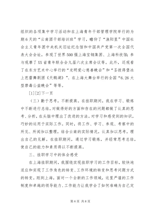 团县委书记赴上海团市委挂职学习总结.docx