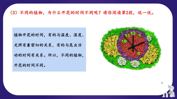 统编版三年级语文下学期期中核心考点集训第四单元（复习课件）