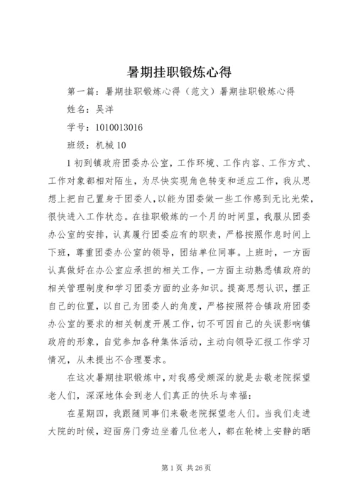 暑期挂职锻炼心得.docx