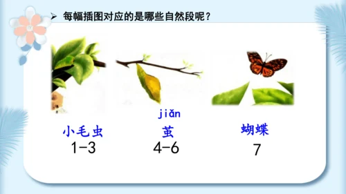 22.小毛虫（第二课时）教学课件