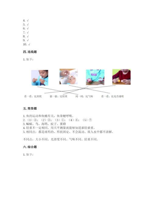 教科版一年级下册科学期末测试卷精品【名师推荐】.docx