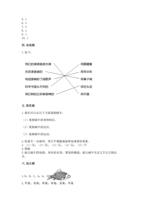 教科版一年级下册科学期末测试卷及答案（最新）.docx