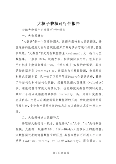 大榛子栽植可行性报告_1 (2).docx