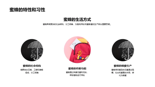 探秘动物世界