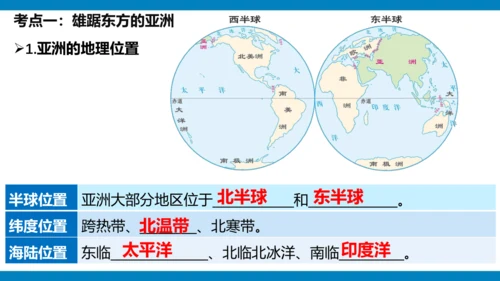 第六章 我们生活的大洲（课件38张）-2023-2024学年七年级地理下册期中复习（人教版）