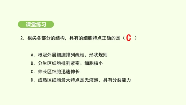 第三单元-第一章-第二节-植株的生长课件-2024-2025学年七年级生物下学期人教版(2024)(