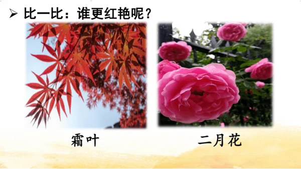 三年级上册4 古诗三首-山行课件(共20张PPT)