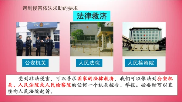 5.3 善用法律 课件