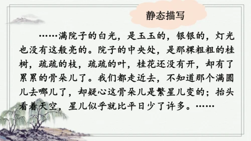 部编版五年级上册语文 23 月迹 课件