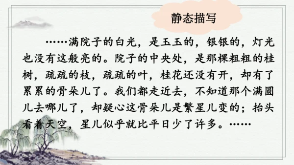 部编版五年级上册语文 23 月迹 课件