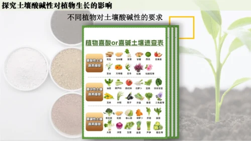 跨学科实践活动9  探究土壤酸碱性对植物生长的影响课件(共33张PPT)