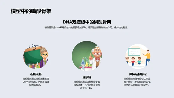 DNA双螺旋结构解析PPT模板