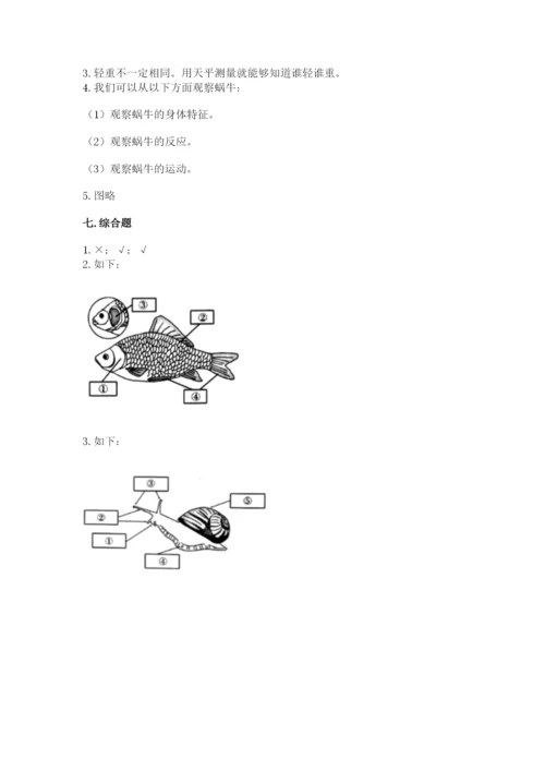 教科版小学科学一年级下册期末测试卷及答案【全国通用】.docx