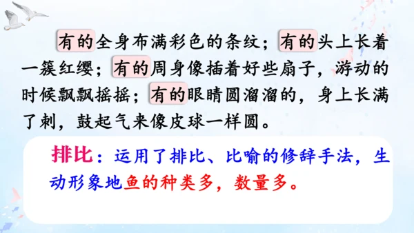 18.富饶的西沙群岛   课件