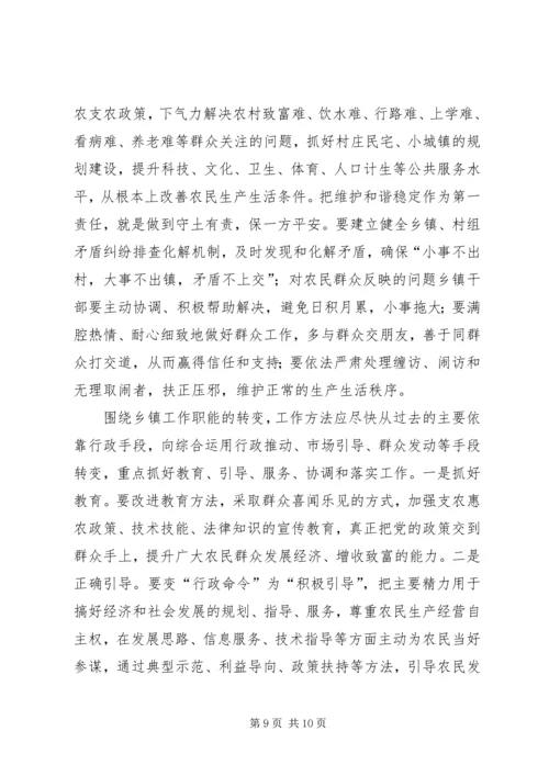 乡镇政府工作总结范文.docx