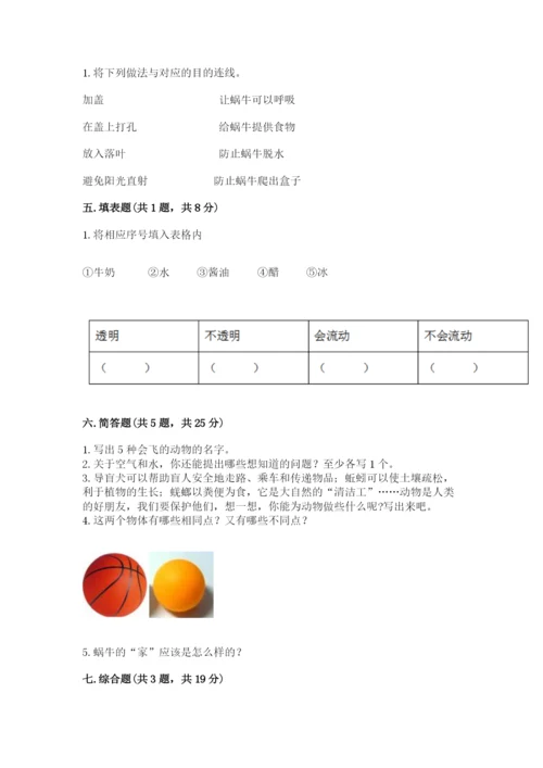 教科版小学科学一年级下册期末测试卷附答案【基础题】.docx