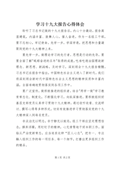 学习十九大报告心得体会_1 (2).docx