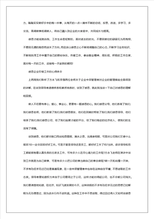 感恩企业珍惜工作的心得体会