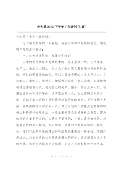 业务员2022下半年工作计划(6篇).docx