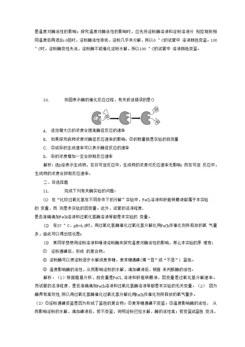 省优获奖导学案 酶与酶促反应 含答案