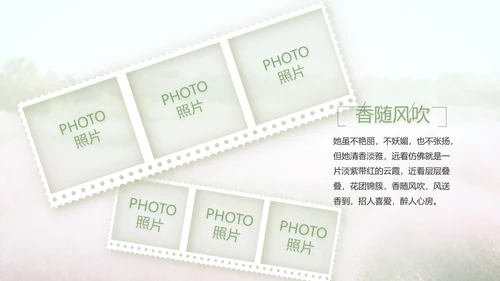 唯美致青春毕业季大学毕业纪念册电子相册PPT