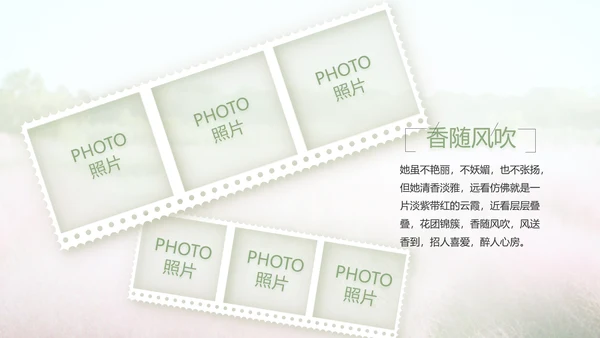 唯美致青春毕业季大学毕业纪念册电子相册PPT