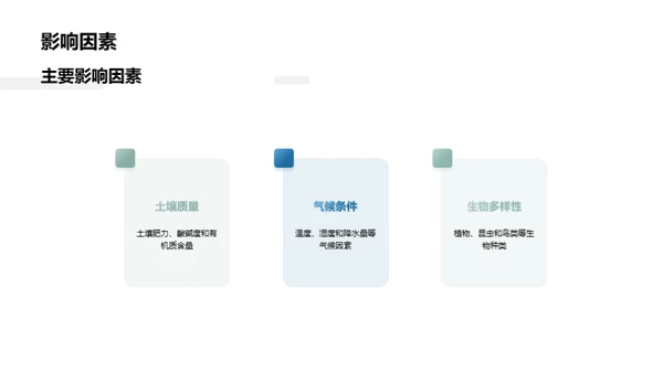 绿色种植：茶叶生态之路