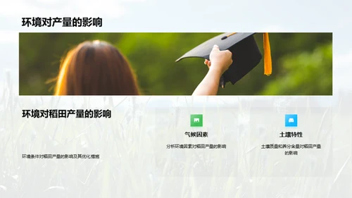 稻田科学种植