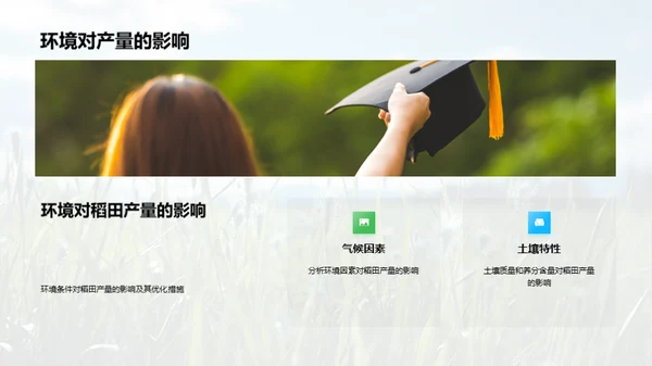 稻田科学种植