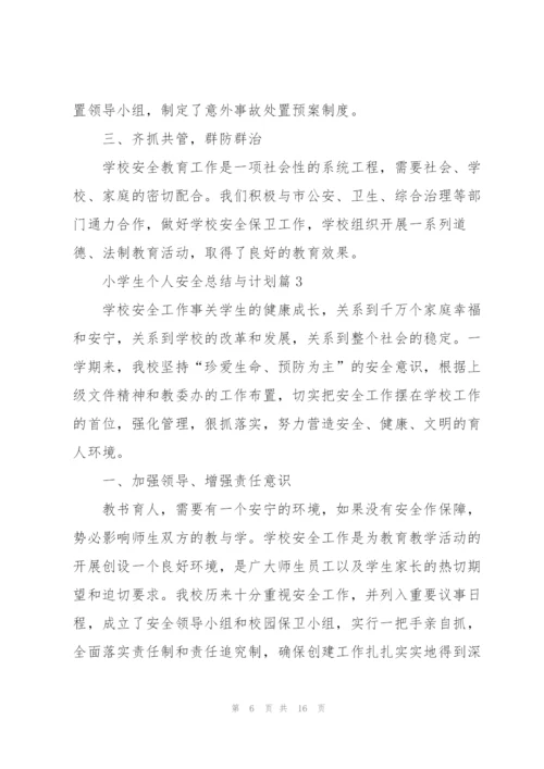 小学生个人安全总结与计划.docx