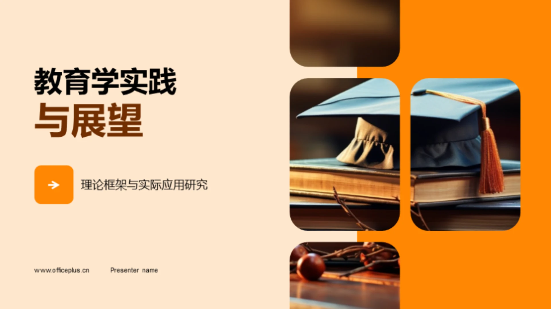 教育学实践与展望