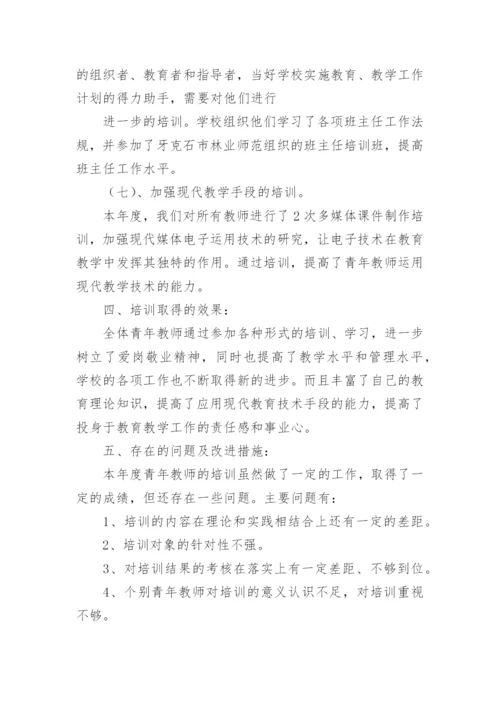 青年教师、骨干教师培训总结.docx